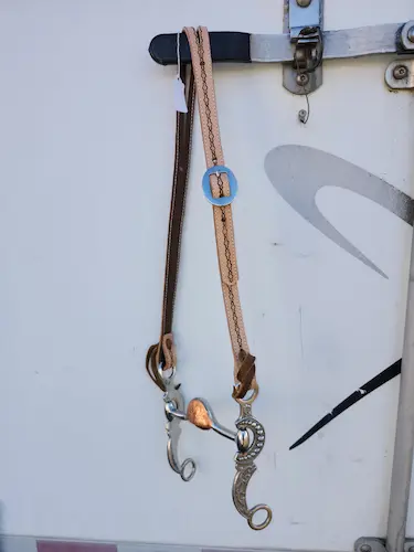 Handtooled leather bridle